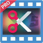 VideoPad Video Editor Pro 16.31 Win/Mac + Portable