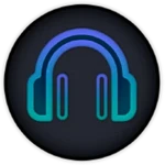 Spotube 3.8.0 Win/Mac/Android download and play Spotify music